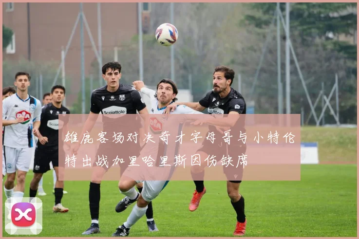 雄鹿客场对决奇才字母哥与小特伦特出战加里哈里斯因伤缺席