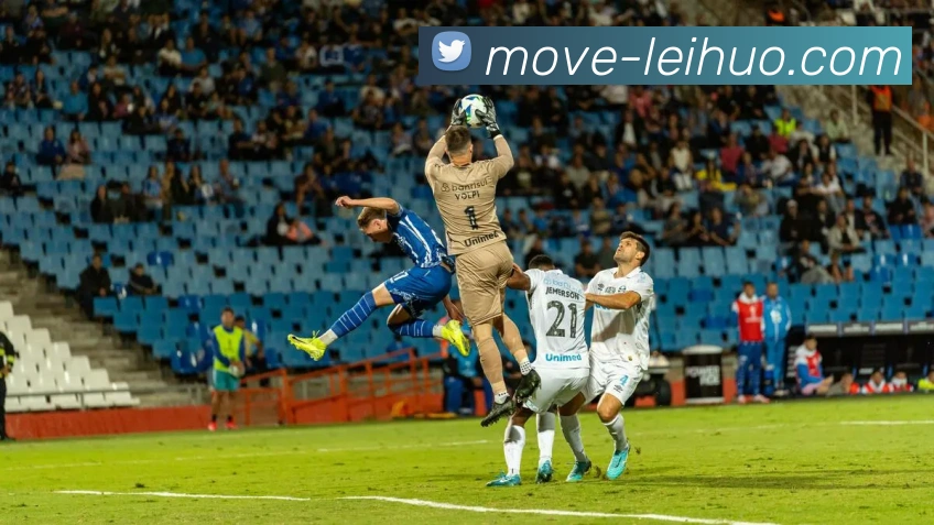 App Interface Preview